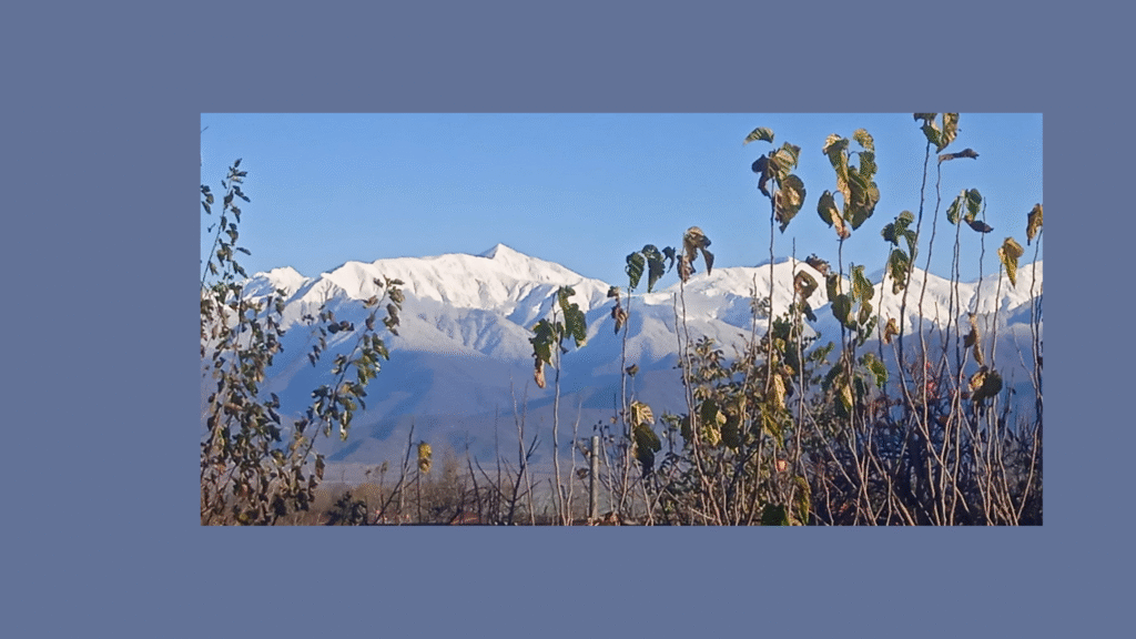 თემურ ჩხეტიანი - ჰაიკუები