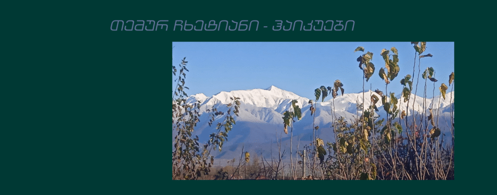 თემურ ჩხეტიანი - ჰაიკუები